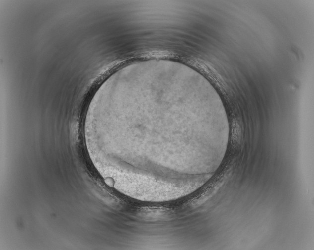 X0000111360351200908211301