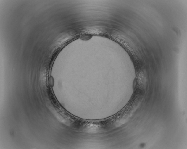 X0000111360352200908211301