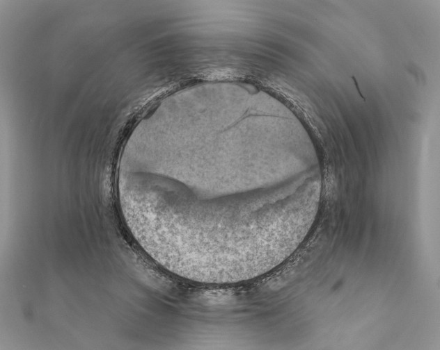 X0000111360353200908211301