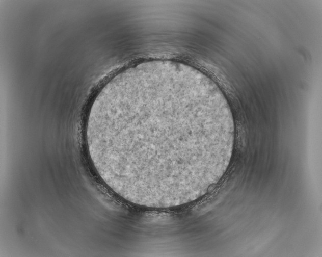 X0000111360354200908211301