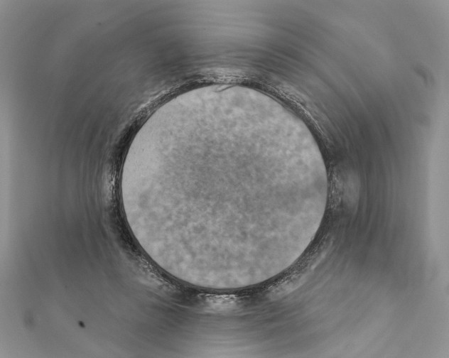 X0000111360355200908211301