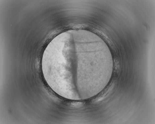 X0000111360357200908211301