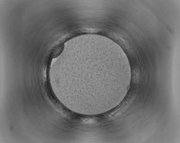 X0000111360358200908211301