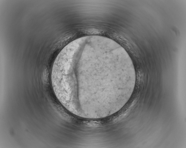 X0000111360359200908211301