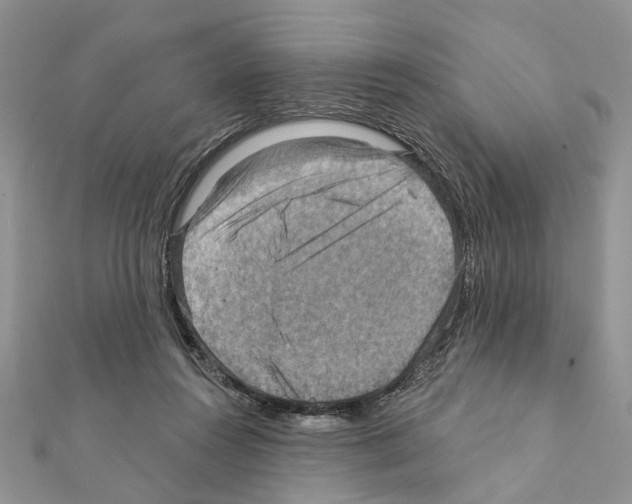 X0000111360360200908211302