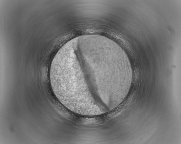X0000111360361200908211302