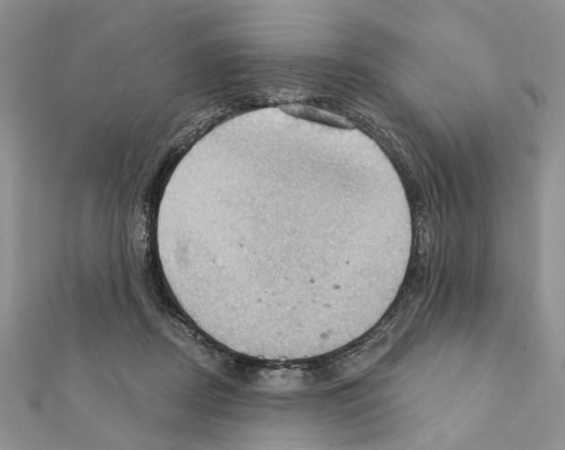 X0000111360362200908211302