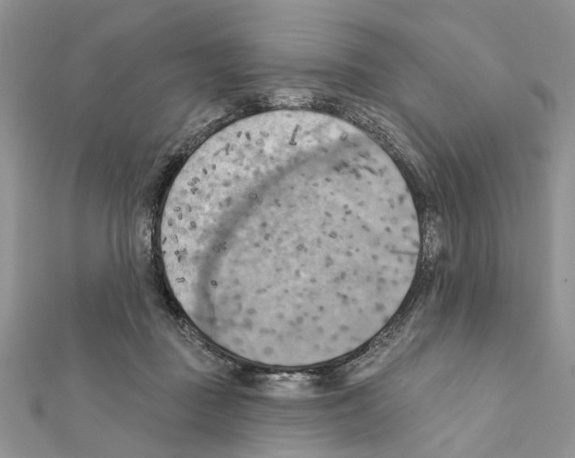 X0000111360363200908211302