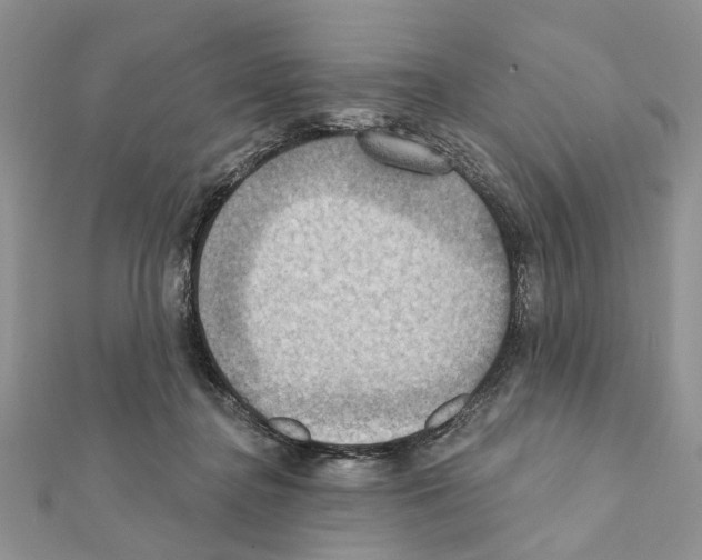 X0000111360364200908211302