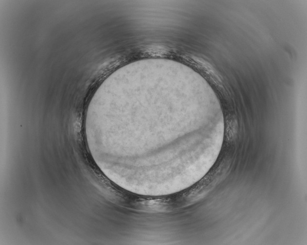 X0000111360365200908211302