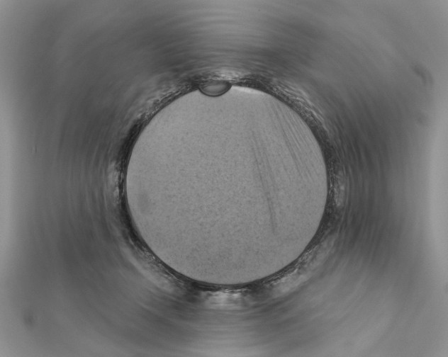 X0000111360366200908211302