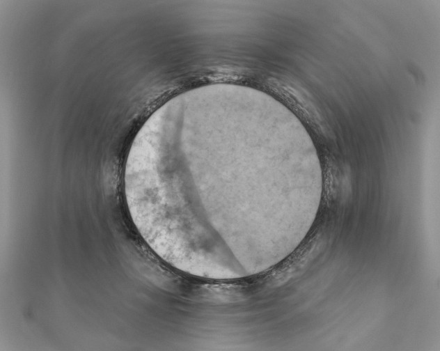 X0000111360367200908211302