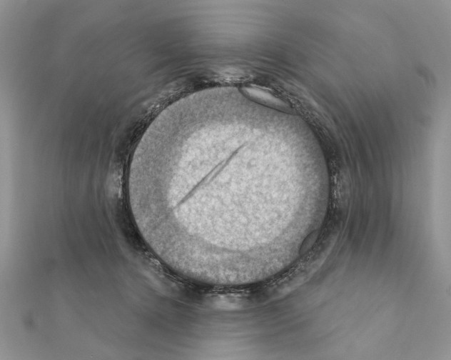 X0000111360368200908211302