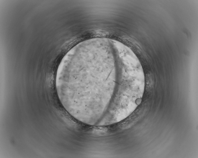 X0000111360369200908211302