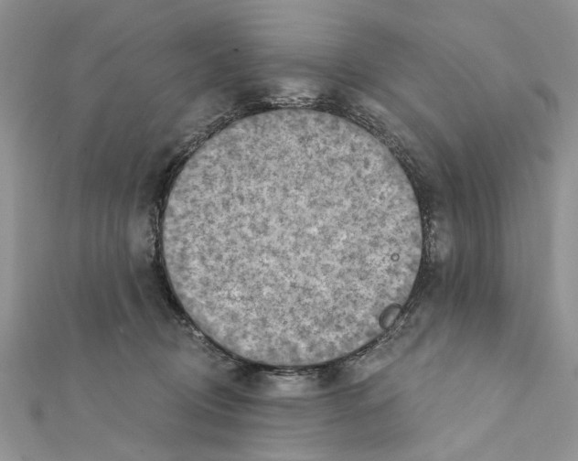 X0000111360370200908211302