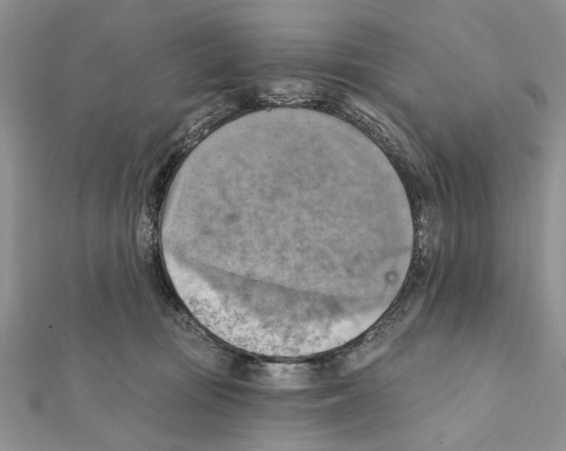 X0000111360371200908211302