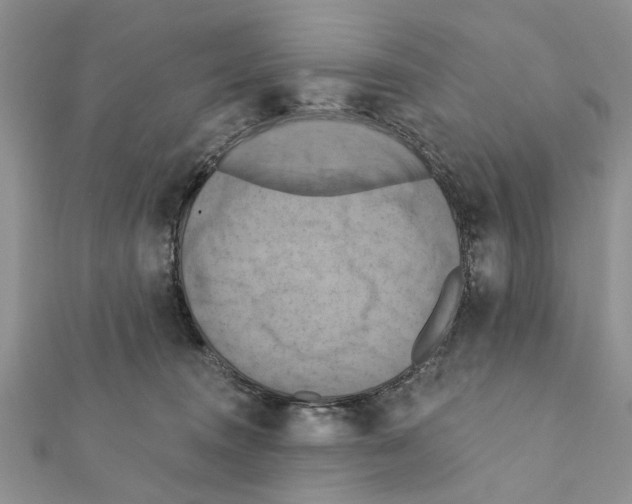 X0000111360372200908211302