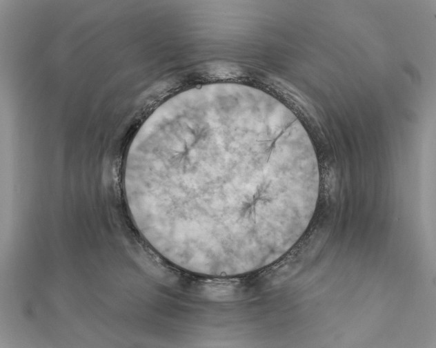 X0000111360373200908211302