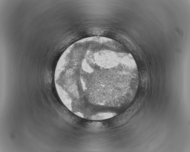 X0000111360374200908211302