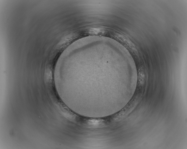 X0000111360375200908211302