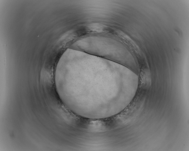 X0000111360376200908211302