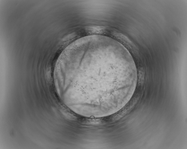 X0000111360377200908211302