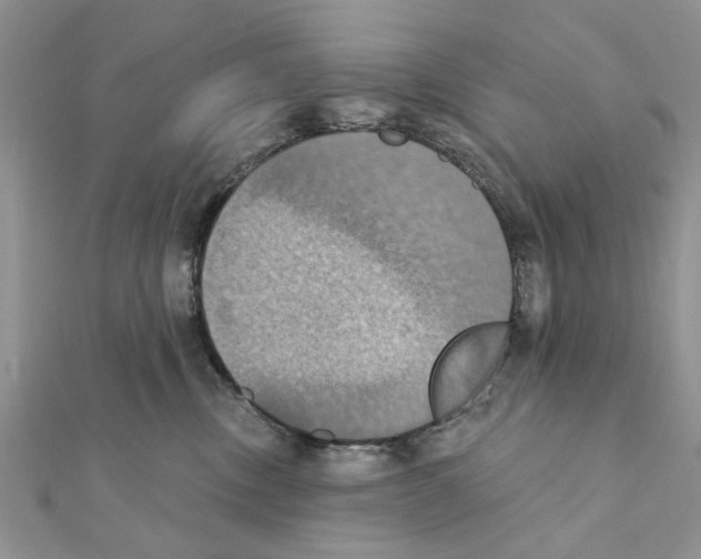 X0000111360378200908211302