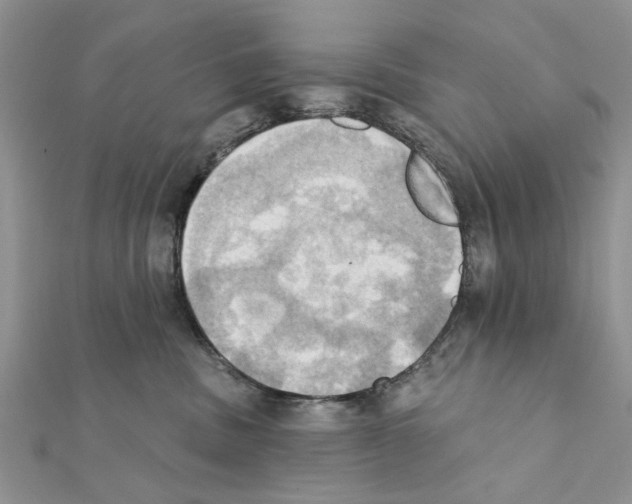 X0000111360379200908211302