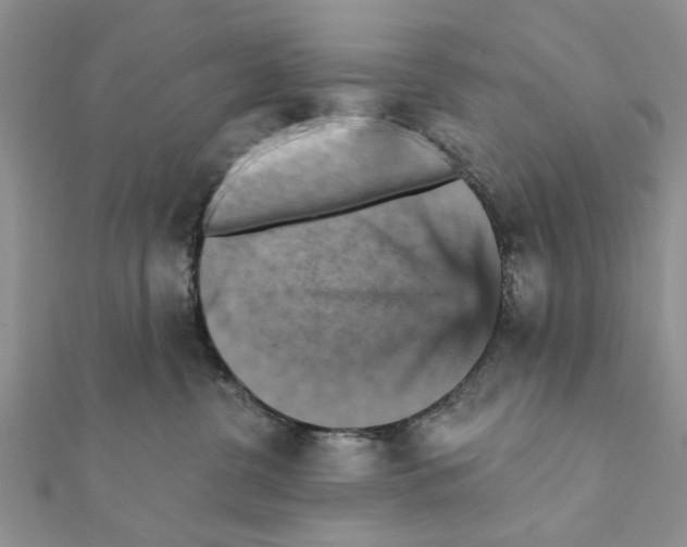 X0000111360380200908211302