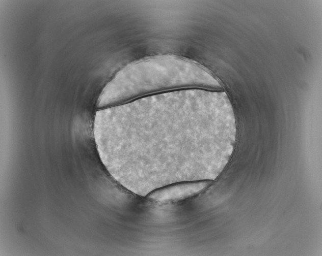 X0000111360384200908211302