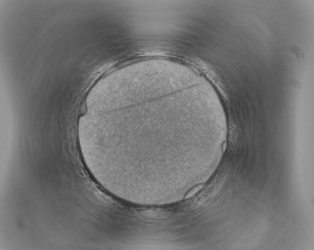 X0000111360385200908211301
