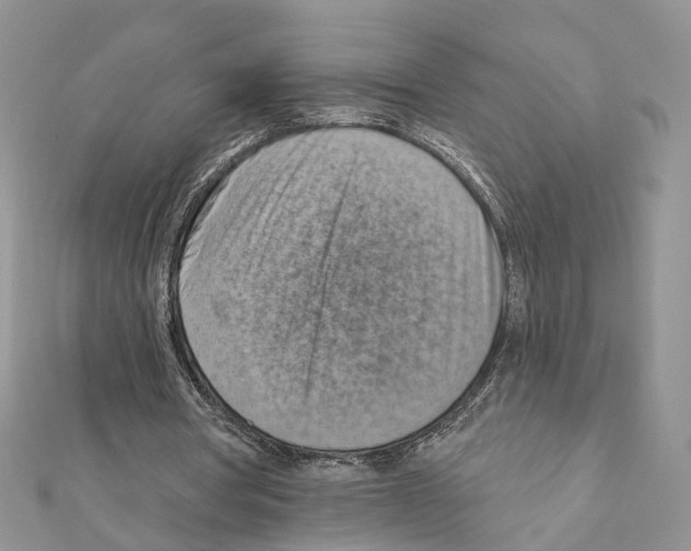 X0000111360386200908211301