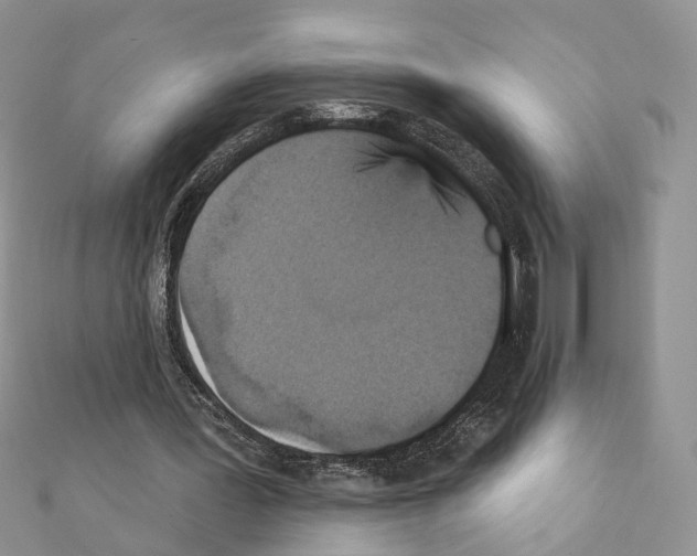 X0000111360387200908211301