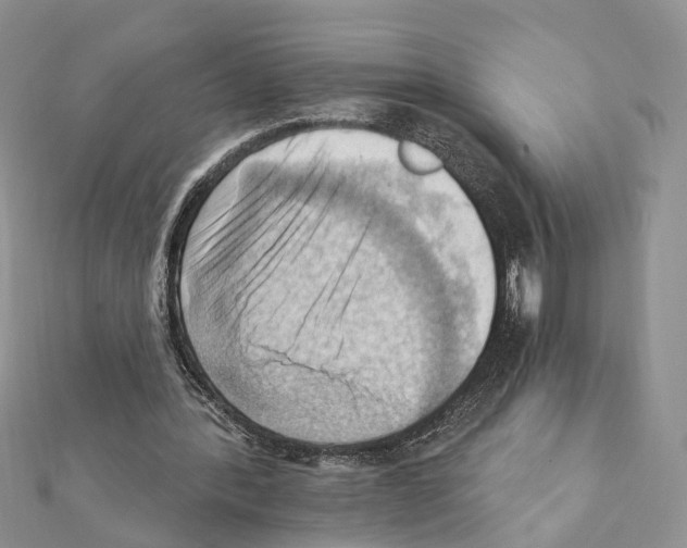 X0000111360388200908211301