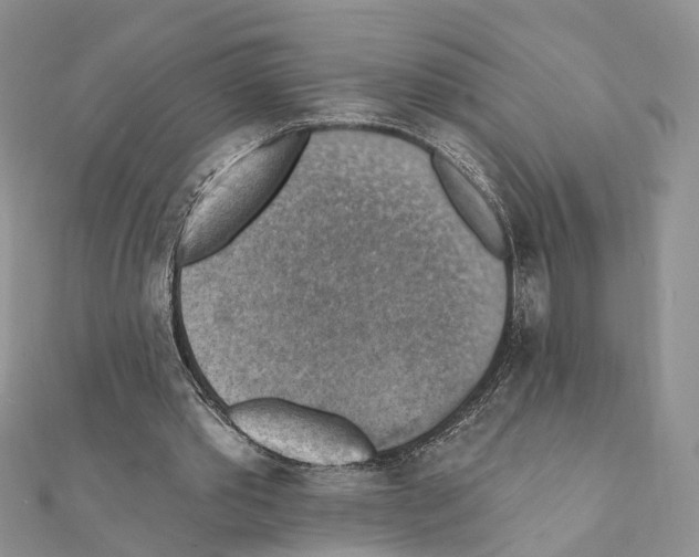 X0000111360389200908211301