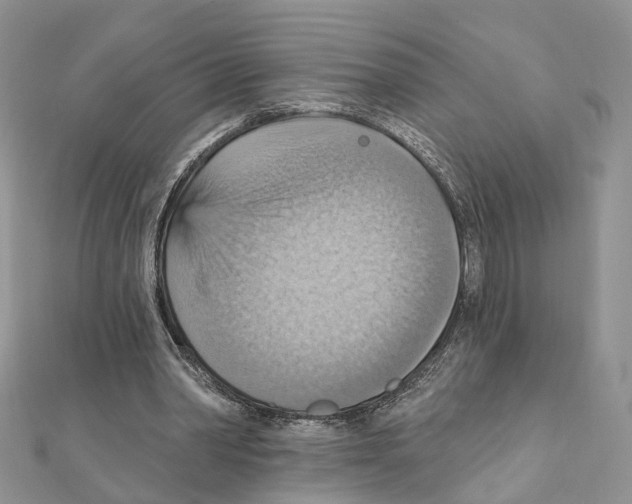 X0000111360390200908211301