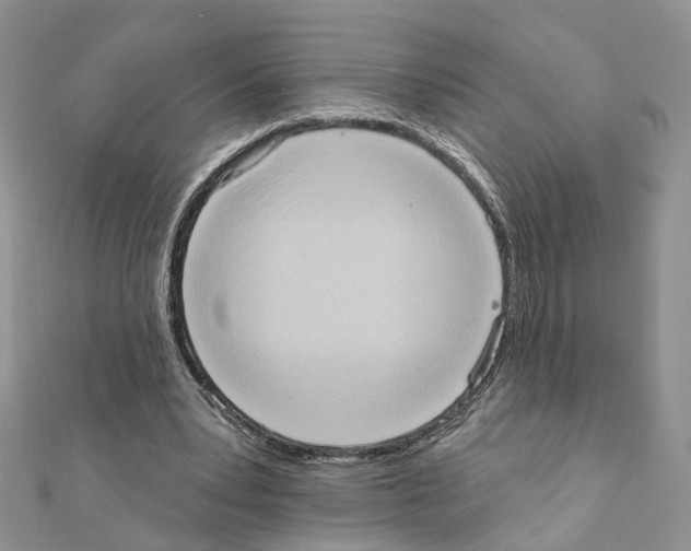 X0000111360391200908211301