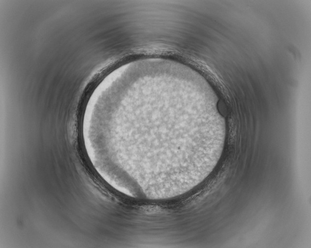 X0000111360392200908211301