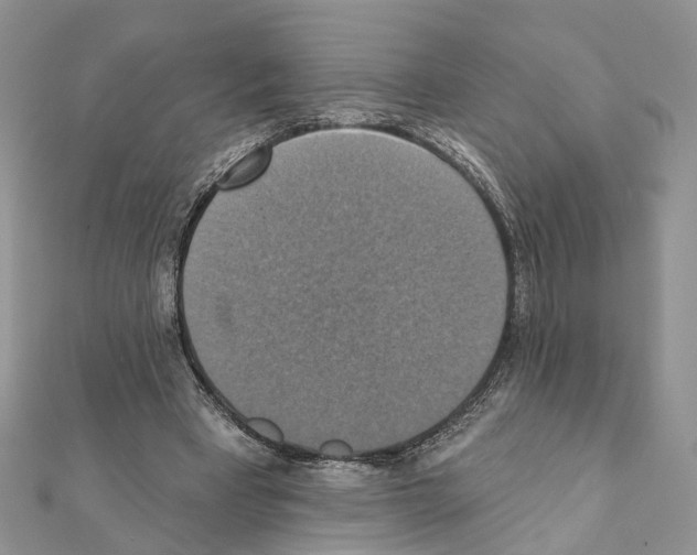 X0000111360393200908211301