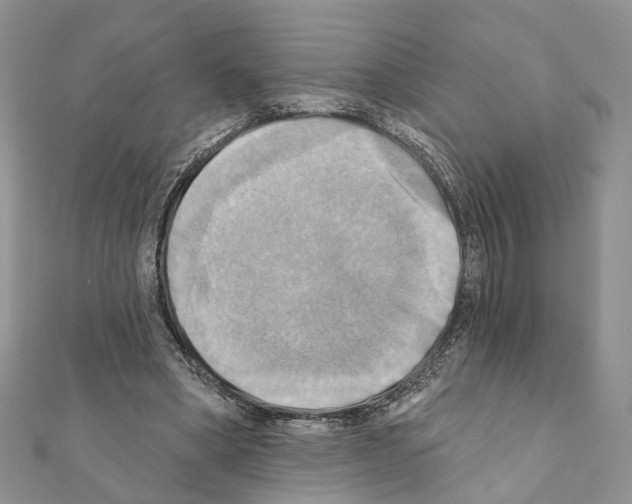 X0000111360394200908211301