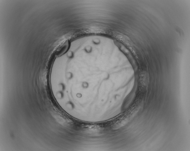 X0000111360395200908211301
