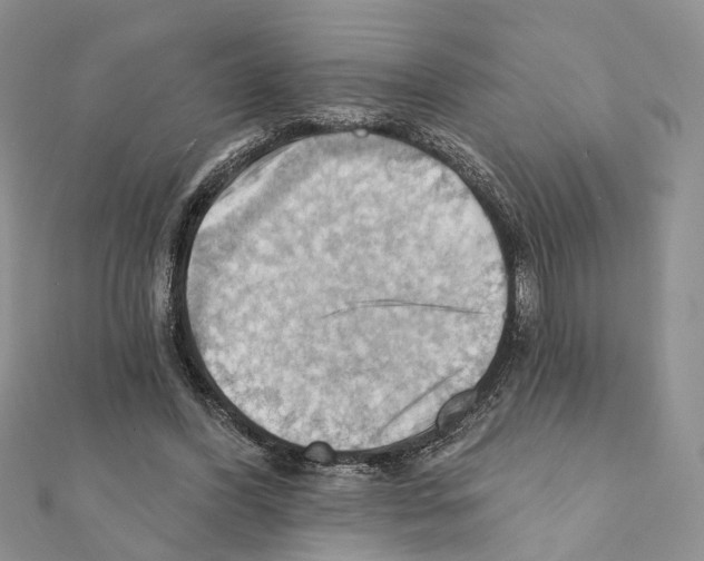 X0000111360396200908211301