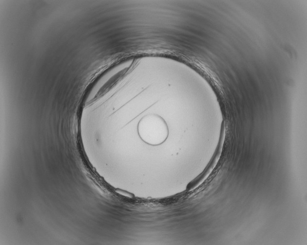 X0000111360397200908211301