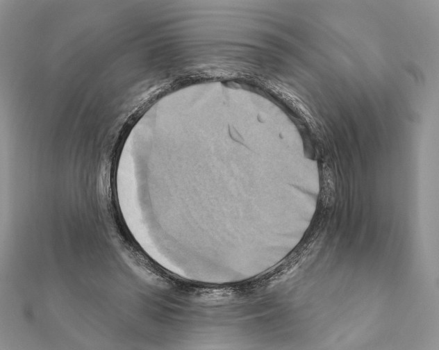 X0000111360398200908211301