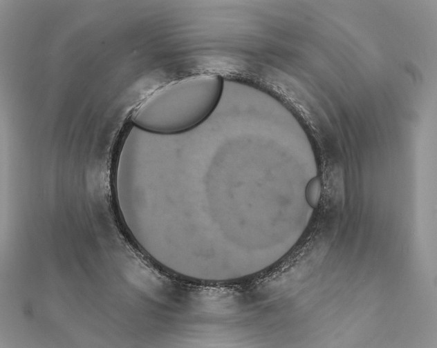 X0000111360399200908211301
