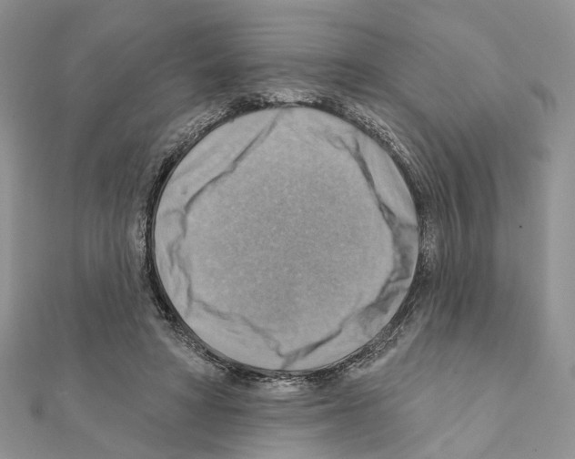 X0000111360402200908211301