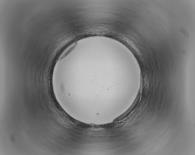 X0000111360403200908211301