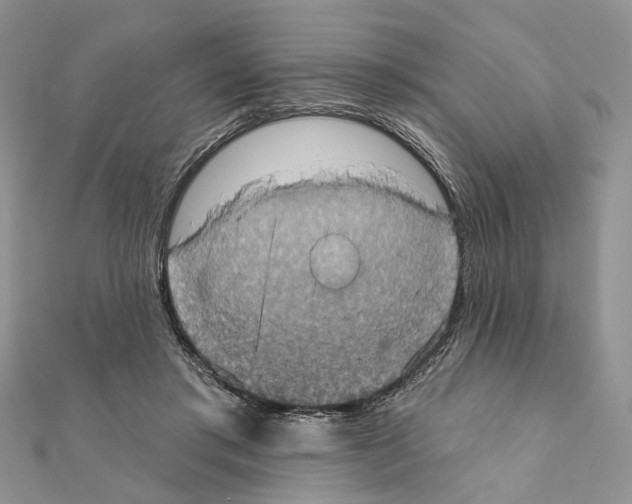 X0000111360405200908211301