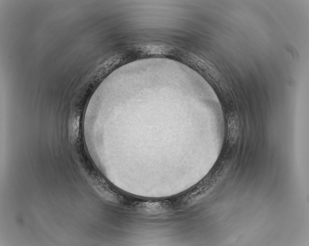 X0000111360406200908211301