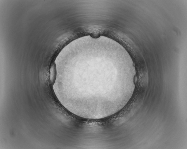 X0000111360407200908211301